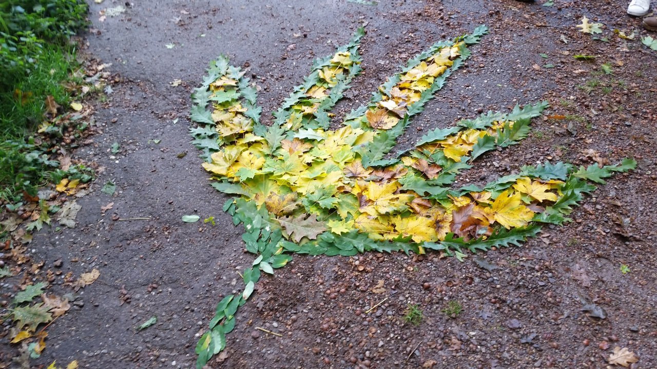 Blätter im Wald auf dem Boden zu einem Herz geformt