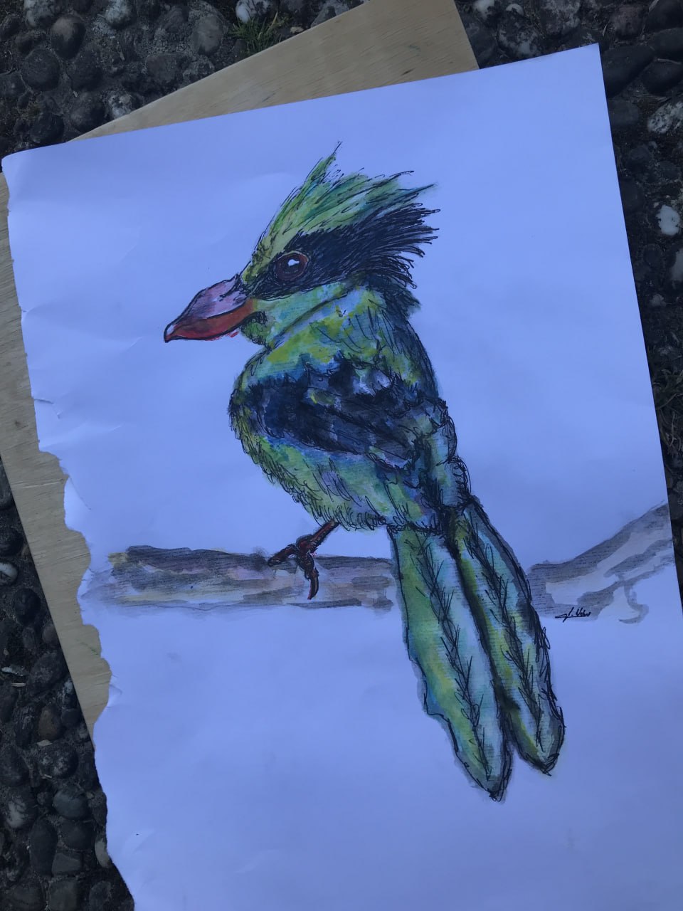 Ein gemalter Paradiesvogel auf einem Block