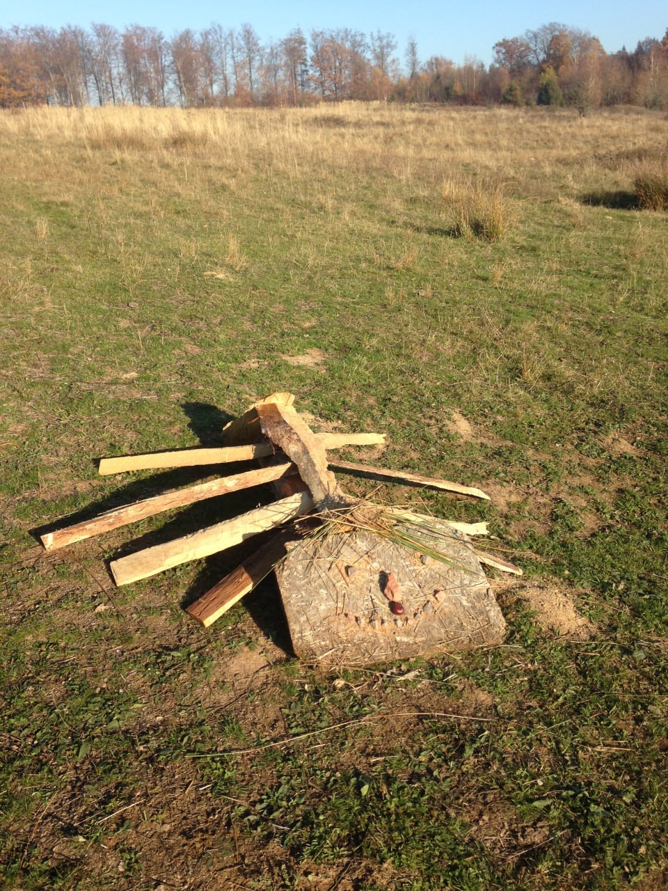 Blätter im Wald auf dem Boden zu einem Herz geformt
